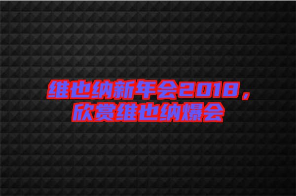 維也納新年會2018，欣賞維也納爆會