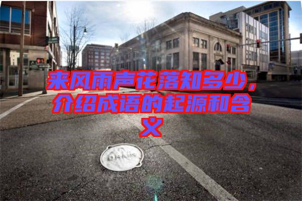 來風(fēng)雨聲花落知多少，介紹成語的起源和含義