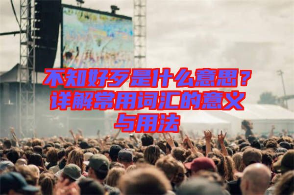不知好歹是什么意思？詳解常用詞匯的意義與用法