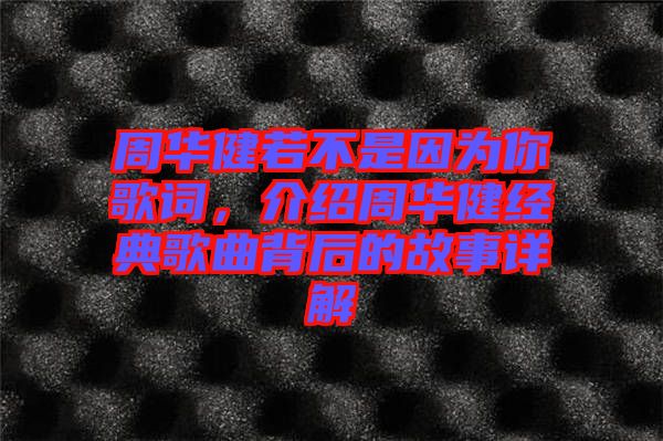 周華健若不是因?yàn)槟愀柙~，介紹周華健經(jīng)典歌曲背后的故事詳解