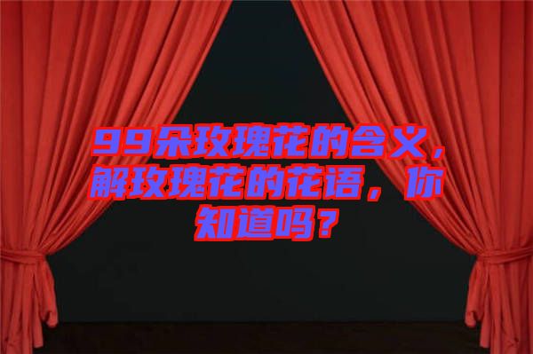 99朵玫瑰花的含義，解玫瑰花的花語，你知道嗎？