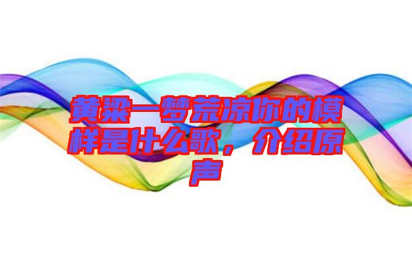 黃粱一夢荒涼你的模樣是什么歌，介紹原聲