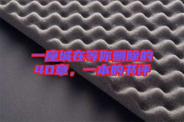 一座城在等你刪除的40章，一本的書評