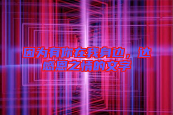 因?yàn)橛心阍谖疑磉?，達(dá)感恩之情的文字