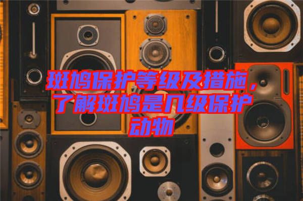 斑鳩保護等級及措施，了解斑鳩是幾級保護動物