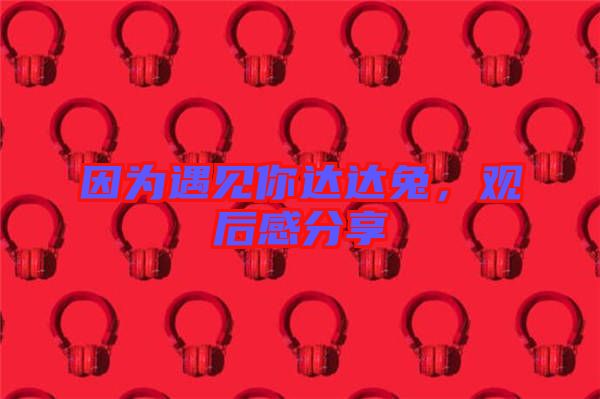 因?yàn)橛鲆娔氵_(dá)達(dá)兔，觀后感分享