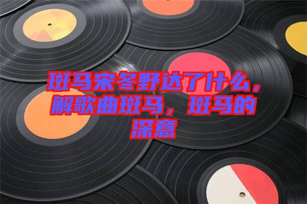 斑馬宋冬野達(dá)了什么，解歌曲斑馬，斑馬的深意