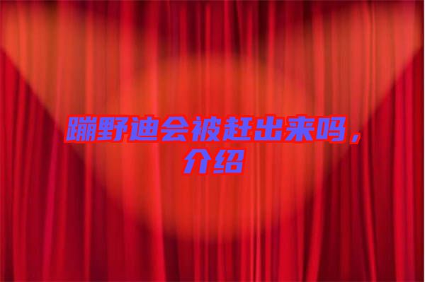 蹦野迪會(huì)被趕出來(lái)嗎，介紹