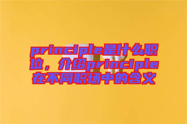 principle是什么職位，介紹principle在不同職場中的含義