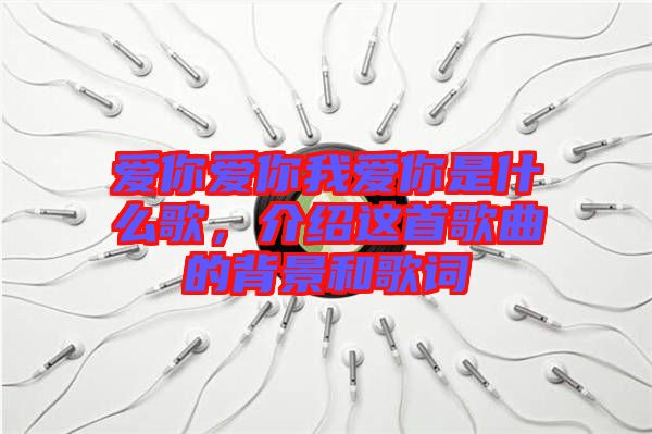 愛你愛你我愛你是什么歌，介紹這首歌曲的背景和歌詞