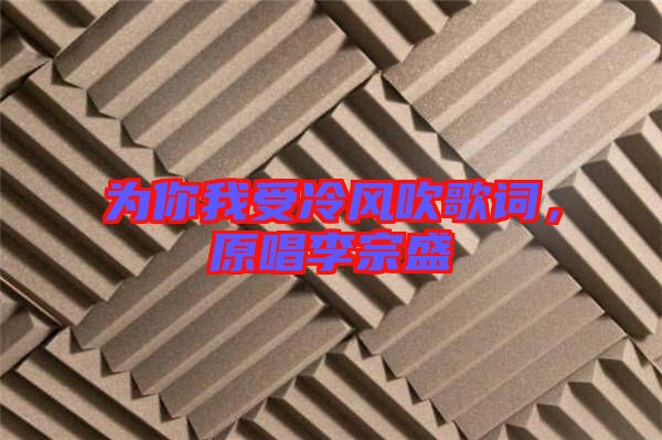 為你我受冷風(fēng)吹歌詞，原唱李宗盛