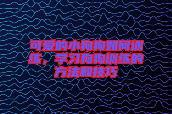 可愛的小狗狗如何訓(xùn)練，學(xué)習(xí)狗狗訓(xùn)練的方法和技巧
