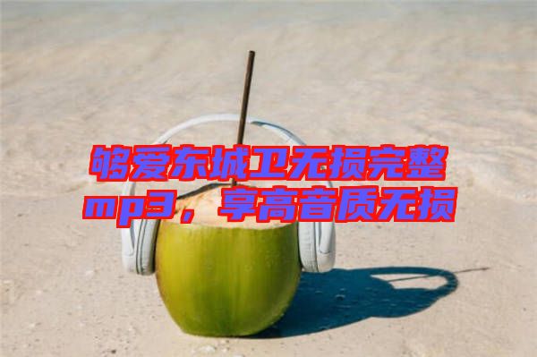 夠愛東城衛(wèi)無損完整mp3，享高音質(zhì)無損
