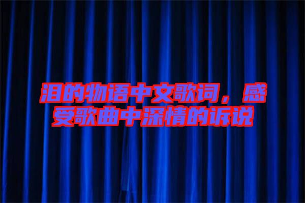 淚的物語(yǔ)中文歌詞，感受歌曲中深情的訴說(shuō)