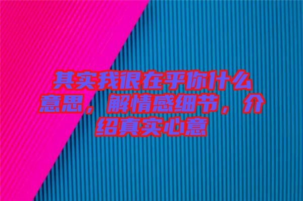 其實(shí)我很在乎你什么意思，解情感細(xì)節(jié)，介紹真實(shí)心意