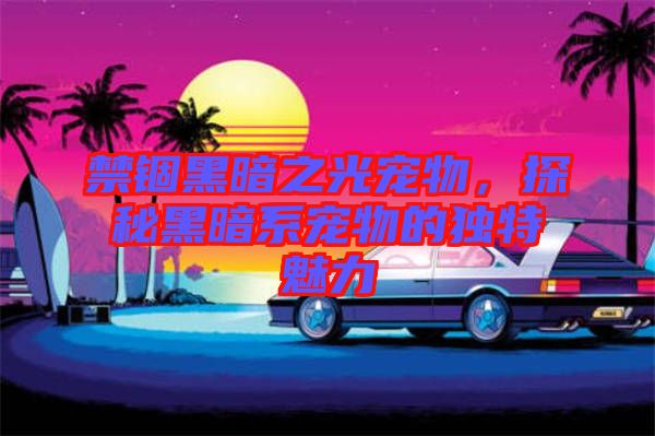 禁錮黑暗之光寵物，探秘黑暗系寵物的獨(dú)特魅力
