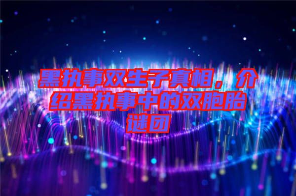 黑執(zhí)事雙生子真相，介紹黑執(zhí)事中的雙胞胎謎團
