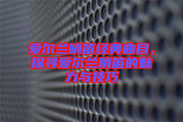 愛爾蘭哨笛經(jīng)典曲目，探尋愛爾蘭哨笛的魅力與技巧