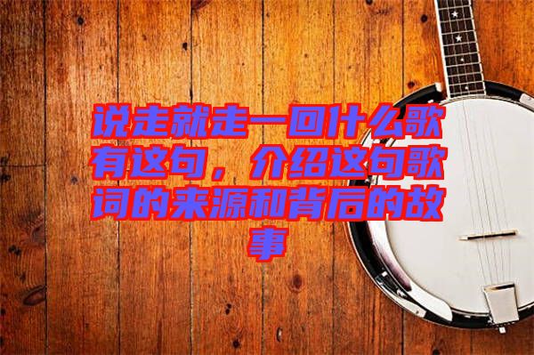 說(shuō)走就走一回什么歌有這句，介紹這句歌詞的來(lái)源和背后的故事