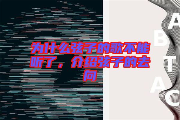 為什么弦子的歌不能聽了，介紹弦子的去向