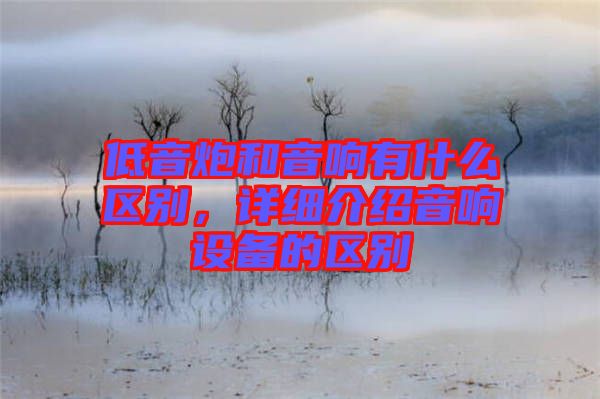 低音炮和音響有什么區(qū)別，詳細(xì)介紹音響設(shè)備的區(qū)別