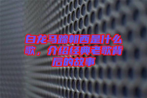 白龍馬蹄朝西是什么歌，介紹經(jīng)典老歌背后的故事
