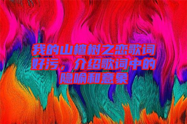 我的山楂樹之戀歌詞好污，介紹歌詞中的隱喻和意象