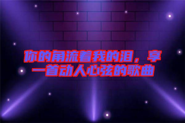 你的角流著我的淚，享一首動人心弦的歌曲