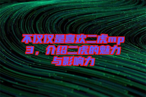 不僅僅是喜歡二虎mp3，介紹二虎的魅力與影響力