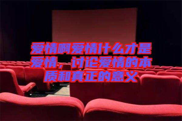 愛(ài)情啊愛(ài)情什么才是愛(ài)情，討論愛(ài)情的本質(zhì)和真正的意義