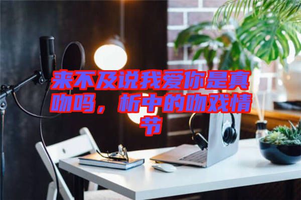 來不及說我愛你是真吻嗎，析中的吻戲情節(jié)