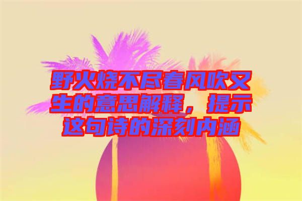 野火燒不盡春風(fēng)吹又生的意思解釋，提示這句詩的深刻內(nèi)涵