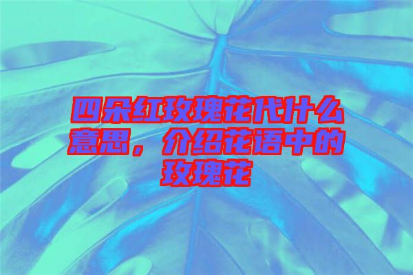 四朵紅玫瑰花代什么意思，介紹花語中的玫瑰花