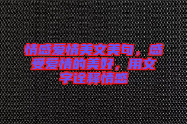 情感愛情美文美句，感受愛情的美好，用文字詮釋情感
