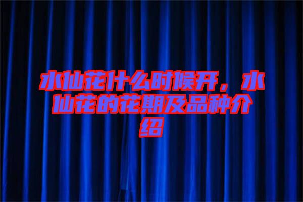 水仙花什么時候開，水仙花的花期及品種介紹