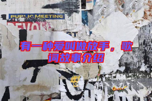 有一種愛叫做放手，歌詞故事介紹