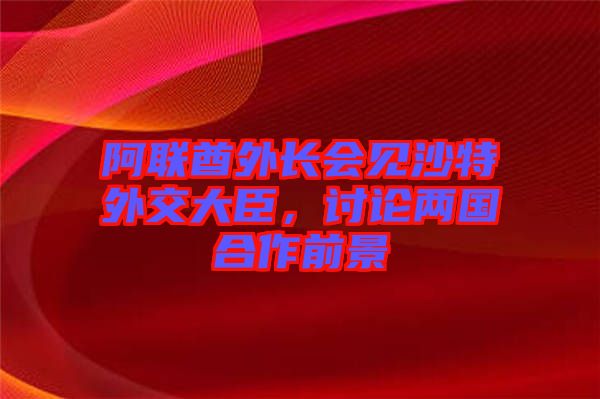 阿聯(lián)酋外長會見沙特外交大臣，討論兩國合作前景