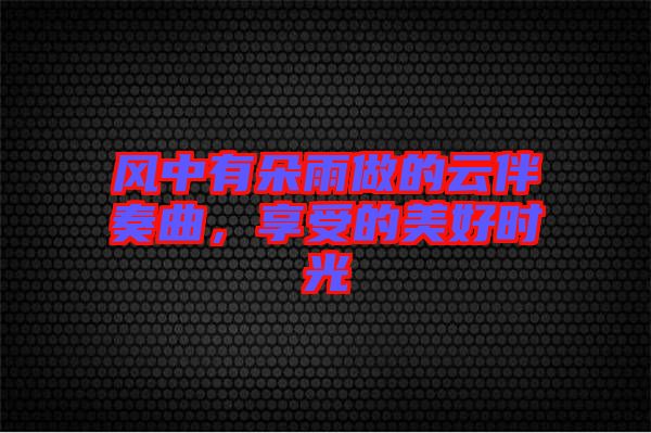 風(fēng)中有朵雨做的云伴奏曲，享受的美好時光