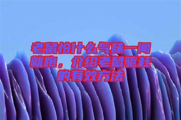 老鼠怕什么氣味一聞就跑，介紹老鼠驅(qū)趕的有效方法
