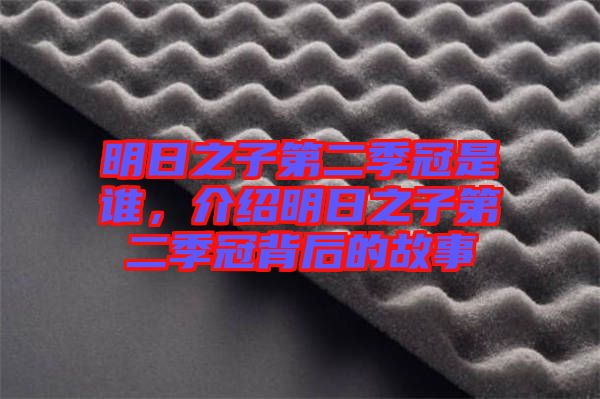 明日之子第二季冠是誰，介紹明日之子第二季冠背后的故事