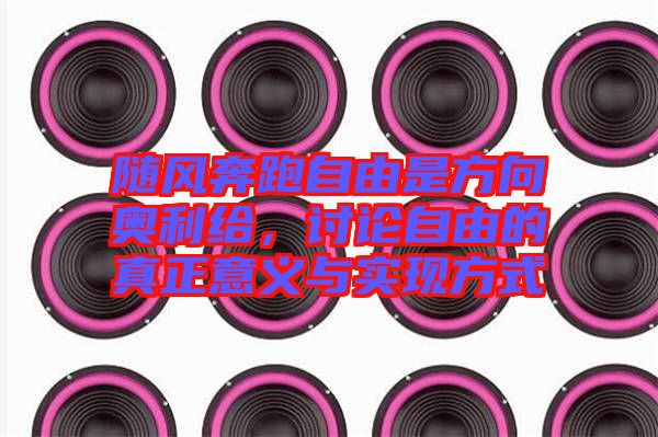 隨風(fēng)奔跑自由是方向奧利給，討論自由的真正意義與實現(xiàn)方式