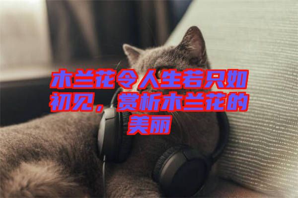 木蘭花令人生若只如初見(jiàn)，賞析木蘭花的美麗