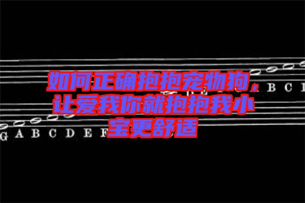如何正確抱抱寵物狗，讓愛我你就抱抱我小寶更舒適