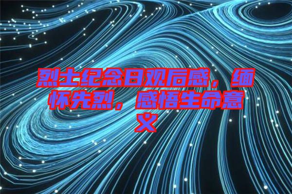 烈士紀(jì)念日觀后感，緬懷先烈，感悟生命意義