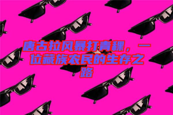唐古拉風(fēng)暴打青稞，一位藏族農(nóng)民的生存之路