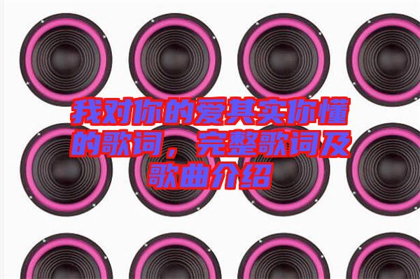 我對你的愛其實(shí)你懂的歌詞，完整歌詞及歌曲介紹