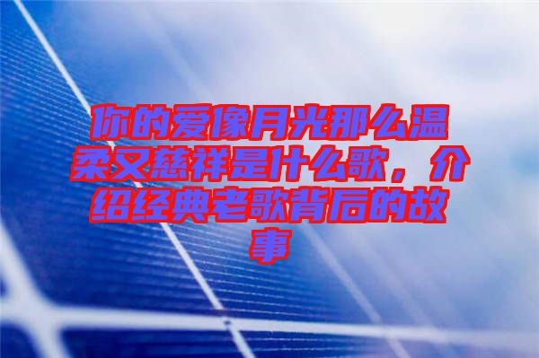 你的愛像月光那么溫柔又慈祥是什么歌，介紹經典老歌背后的故事