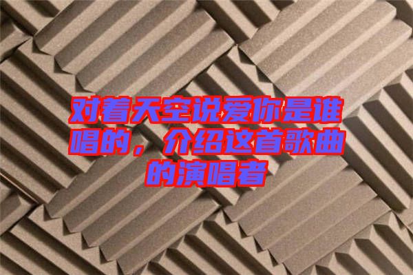 對著天空說愛你是誰唱的，介紹這首歌曲的演唱者