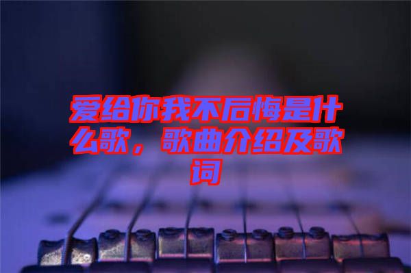 愛給你我不后悔是什么歌，歌曲介紹及歌詞