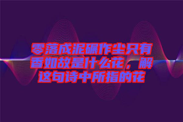 零落成泥碾作塵只有香如故是什么花，解這句詩中所指的花